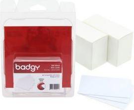 Image du produit Evolis Carte PVC Badgy