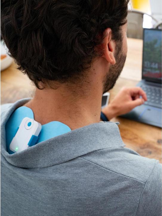 Actual product image Bluetens Papillon