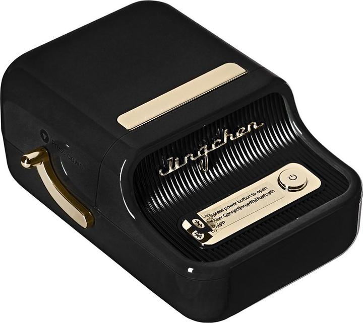 Actual product image Niimbot B21 (203 dpi)