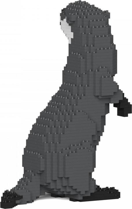 Actual product image Jekca Limited Asian otter