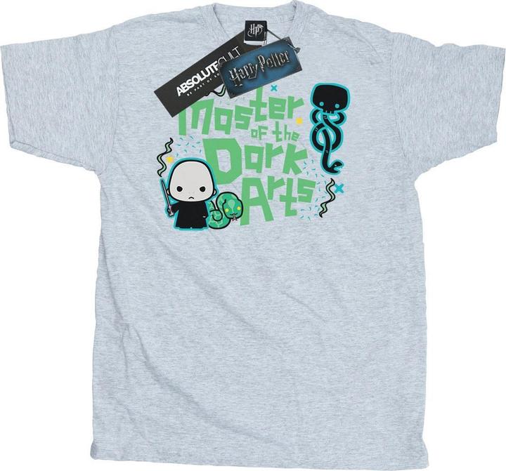 Voldemort Dark Arts Junior TShirt (M)