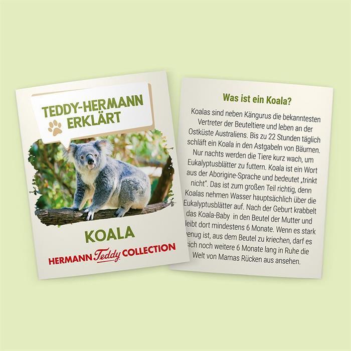 Produktbild Teddy Hermann Koalabär (21 cm)