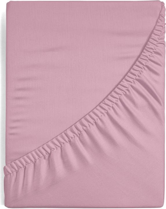 Actual product image Eurofirany By (220 x 200 cm)