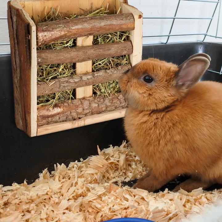 Actual product image Relaxdays 2x hay rack