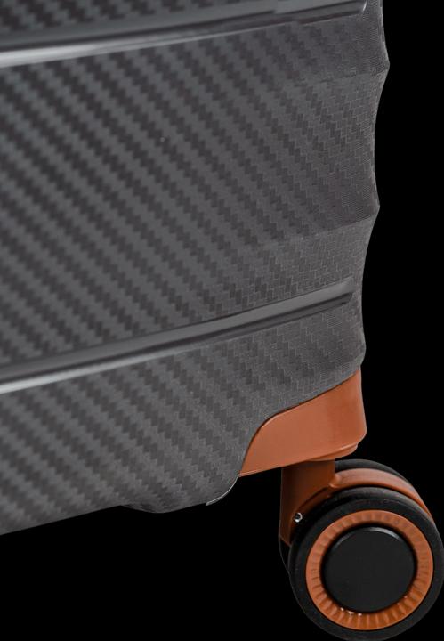 Image du produit Swissbags Prestige (105 l, L (90 - 115l))