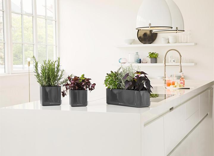 Image du produit Lechuza Cube Glossy 14 (14 cm)