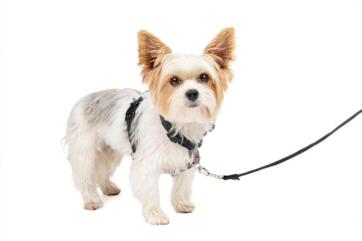 Immagine prodotto PetSafe Pettorina e cinghia di fissaggio per auto 3 in 1™ (S, Cane, Generale)