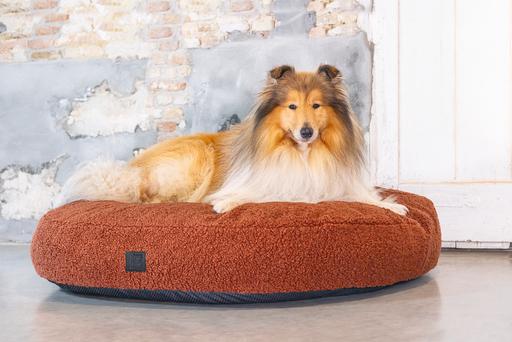 Actual product image Designed by Lotte Ribbed divan bed (Dog)