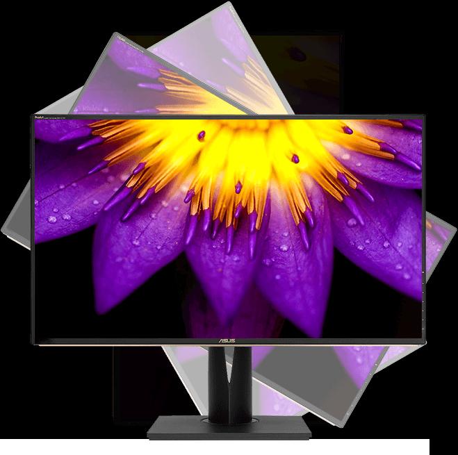 Actual product image ASUS ProArt PA329C 81.28 cm (16:9) UHD HDMI DP (3840 x 2160 Pixels, 32")