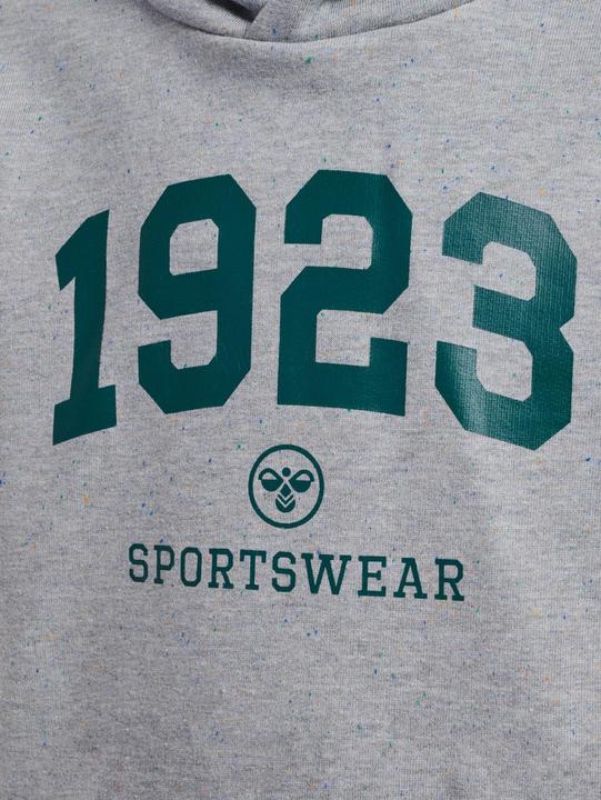 Produktbild hummel hmlNIPPS HOODIE (122)