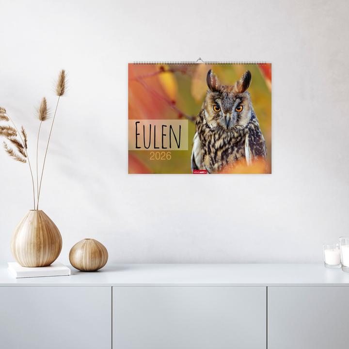 Actual product image Eulen Kalender 2026 (44 x 34 cm, Hardcover, German, English)