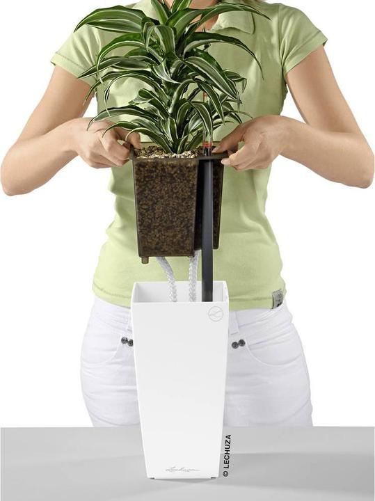 Image du produit Lechuza Mini Cubi (9.50 cm)