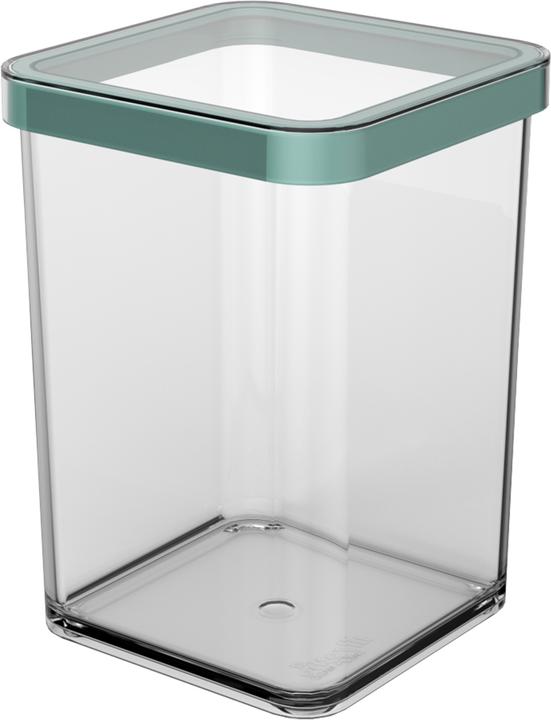 Actual product image Rotho Loft (1 l)