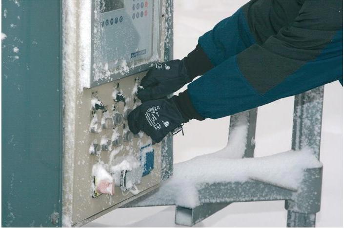 Immagine prodotto Honeywell Guanti antifreddo Ice-Grip 691 (11)