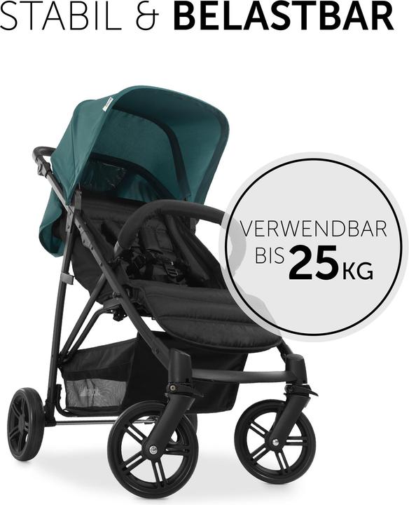 Produktbild Hauck Rapid 4 Petrol