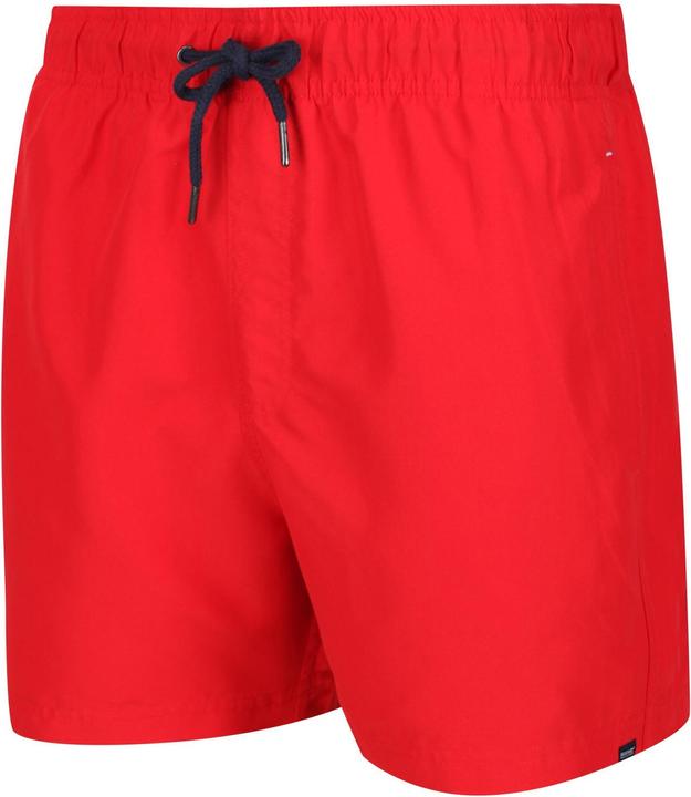 Actual product image Regatta Mawson II Shorts (M)