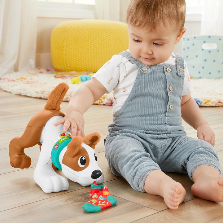Actual product image Fisher-Price - 123 Crawl With Me Puppy-DU