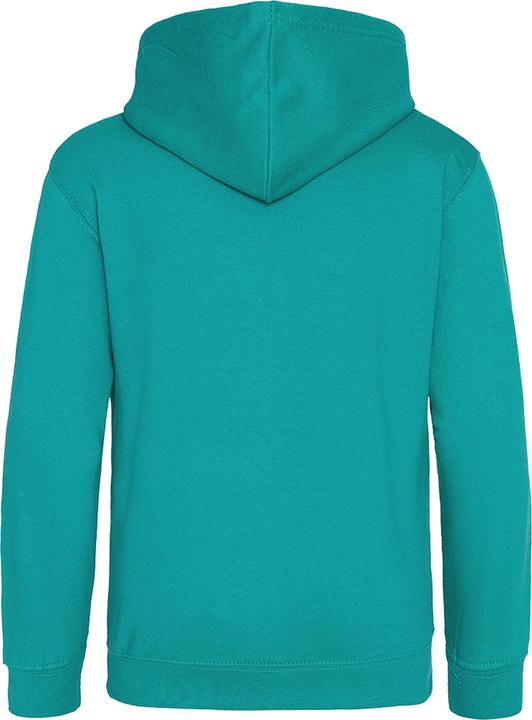 Image du produit Awdis Pull à capuche (98)