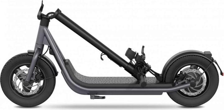 Actual product image Egret X+ (20 km/h, 60 km, 500 W)
