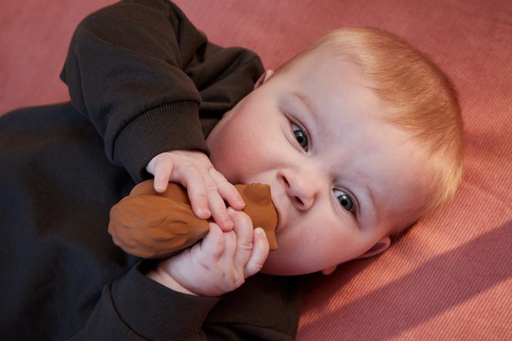 Actual product image Filibabba Natural rubber teething ring - Sonja the squirrel