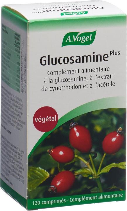 Actual product image A. Vogel Glucosamine Plus (1 Piece, Pills, 280 g)