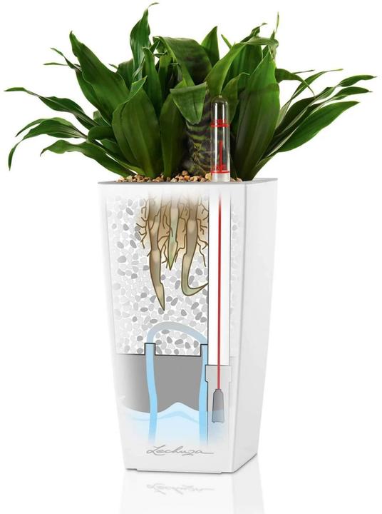 Image du produit Lechuza Mini Cubi (9.50 cm)
