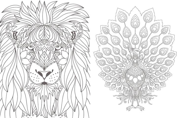 Image du produit Mandala
