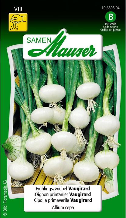 Produktbild Samen Mauser Frühlingszwiebel Vaugirard (Blumenzwiebel)
