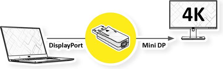 Produktbild Value DisplayPort Adapter, DP Stecker (Mini DP)
