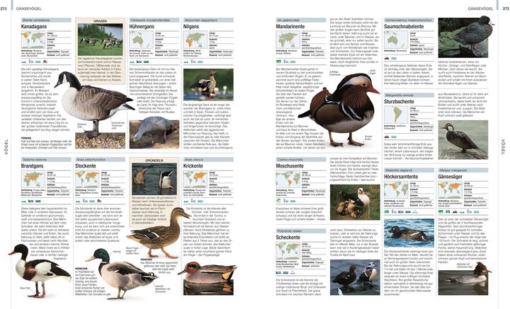 Produktbild Tiere (Deutsch, DK Verlag, Christiane Gsänger, Andreas Held, David Burnie, Dr. Gabriele Lehari, 2024)