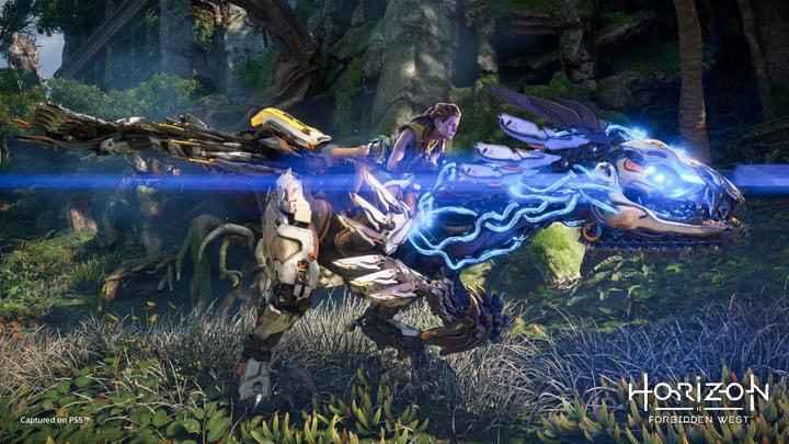 Actual product image Sony Horizon: Forbidden West (PS4) (PS4)