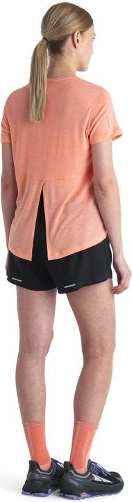 Actual product image Icebreaker Women Merino 125 Cool-Lite Speed SS Tee (XL)