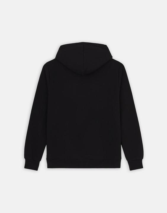 Image du produit Dickies Sweat à capuche Icon Logo (M)