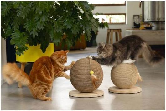 Actual product image Designed by Lotte Scratch ball Balty (31.50 cm, Nature)