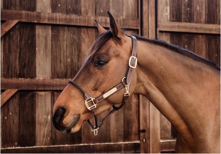 Actual product image Kentucky Horsewear Leather rope halter