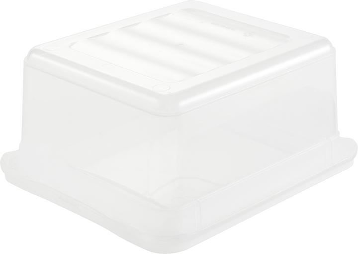 Actual product image HomeZone Bea (19.5 x 16.5 x 8.5 cm, 1.70 l)