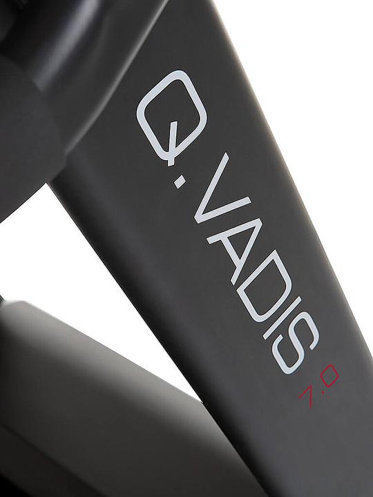 Actual product image Hammer Fitness Q. Vadis 7.0