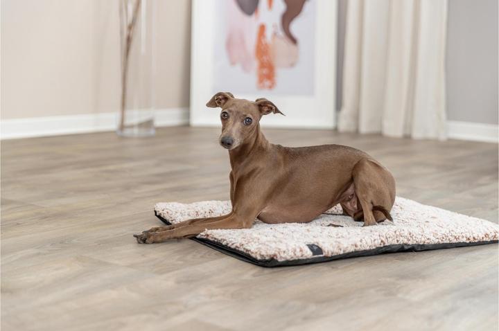 Actual product image Trixie Hunde-Liegematte Calida 60 cm x 45 cm (Dog)