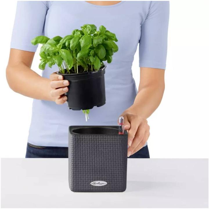Actual product image Lechuza Cube Color (14 cm)