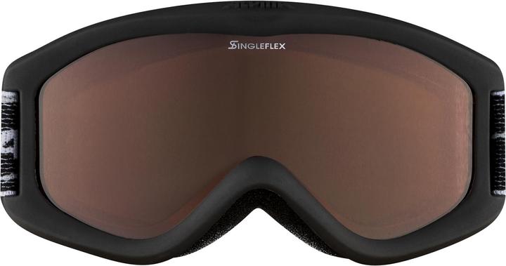 Image du produit ALPINA SPORTS Carvy 2.0