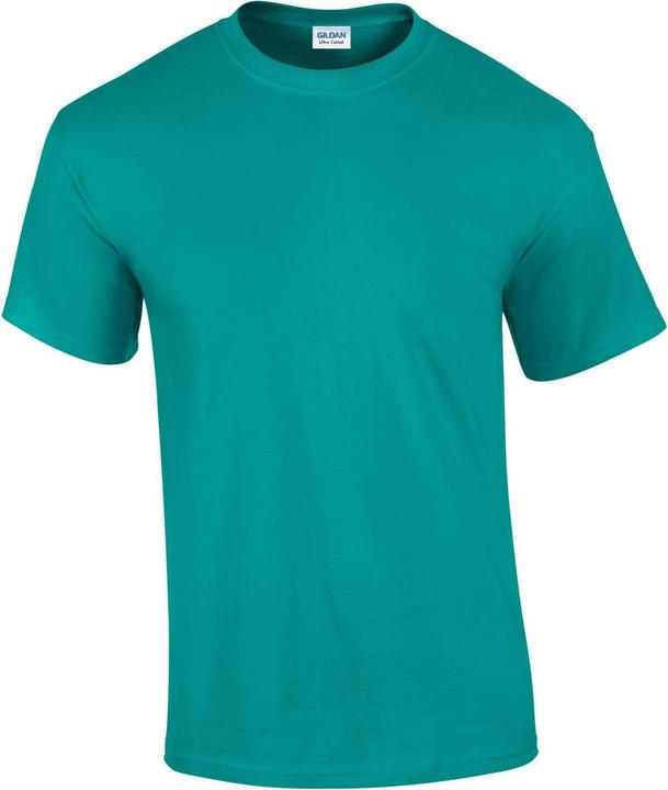 Gildan TShirt (XL)