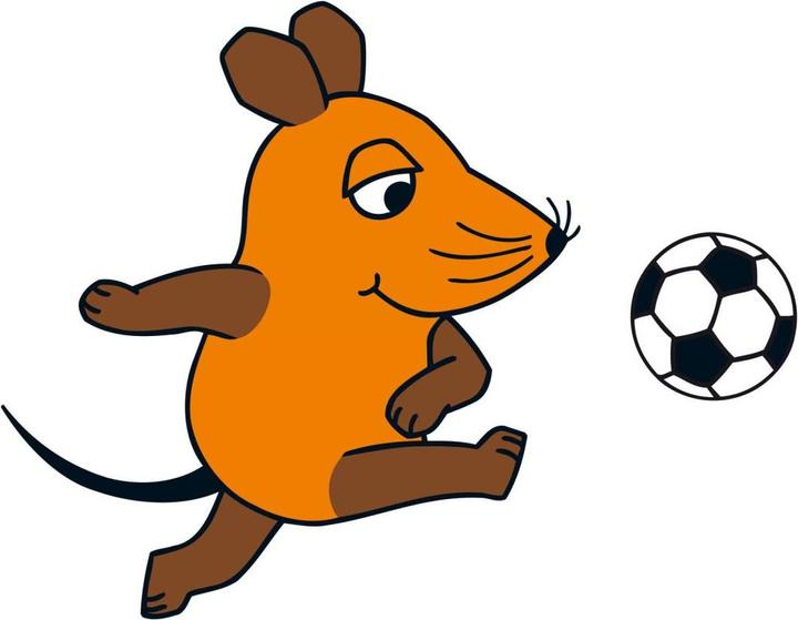 Produktbild spielt Fussball (140 x 110 cm)