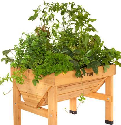 Immagine prodotto VegTrug Abbeveratoio per piante