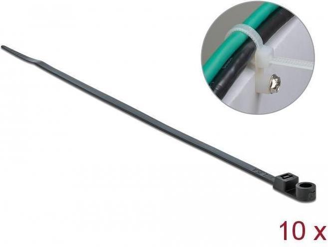Image du produit Delock Cable tie avec oeillet de fixation (160 mm, 10 pcs)