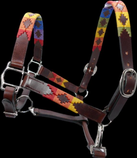 Actual product image Kipita Halter Rainbow size M / Thoroughbreds (Dog, General)