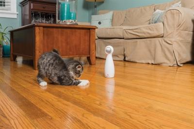 Immagine prodotto PetSafe Bullone (Catmint giocattolo)