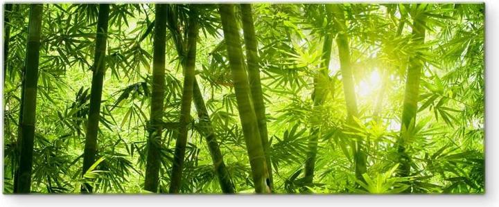 Produktbild Trenddeko Sonnenschein im Bambuswald - Panorama (50 x 120 cm)