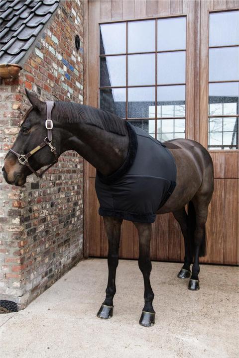 Produktbild Kentucky Horsewear Brustschutz