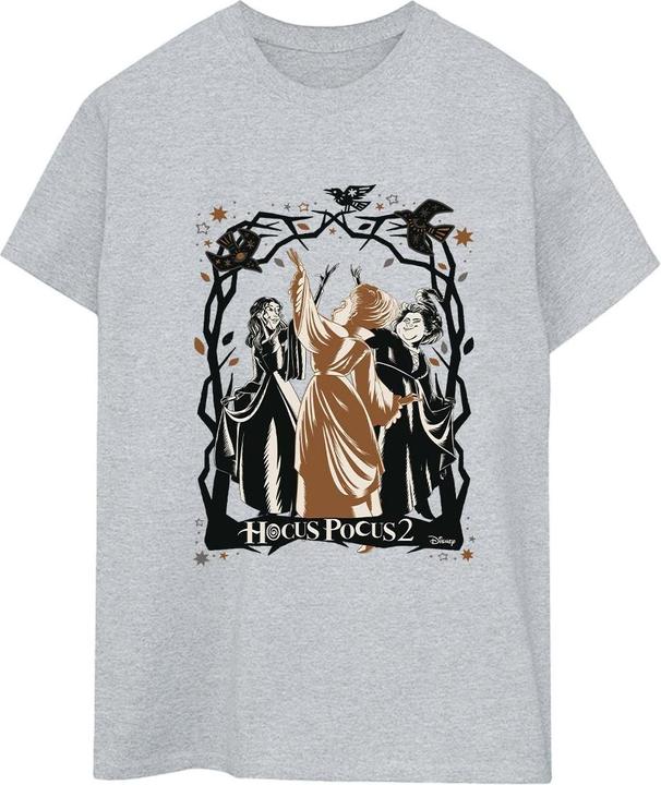 Produktbild Disney Hocus Pocus Birds TShirt (5XL)