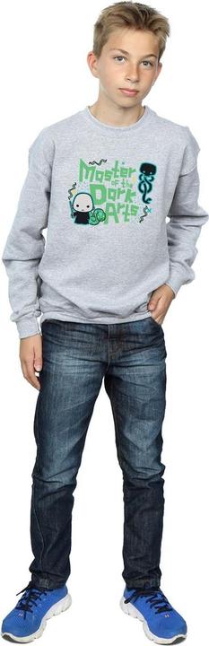 Actual product image Boys Voldemort Dark Arts Junior Sweatshirt (128)